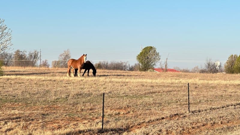 HRI behind the scenes - 16